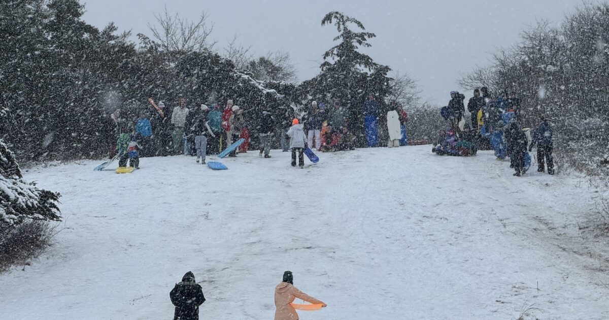 Nantucket Current How Dead Horse Valley Got Its Name