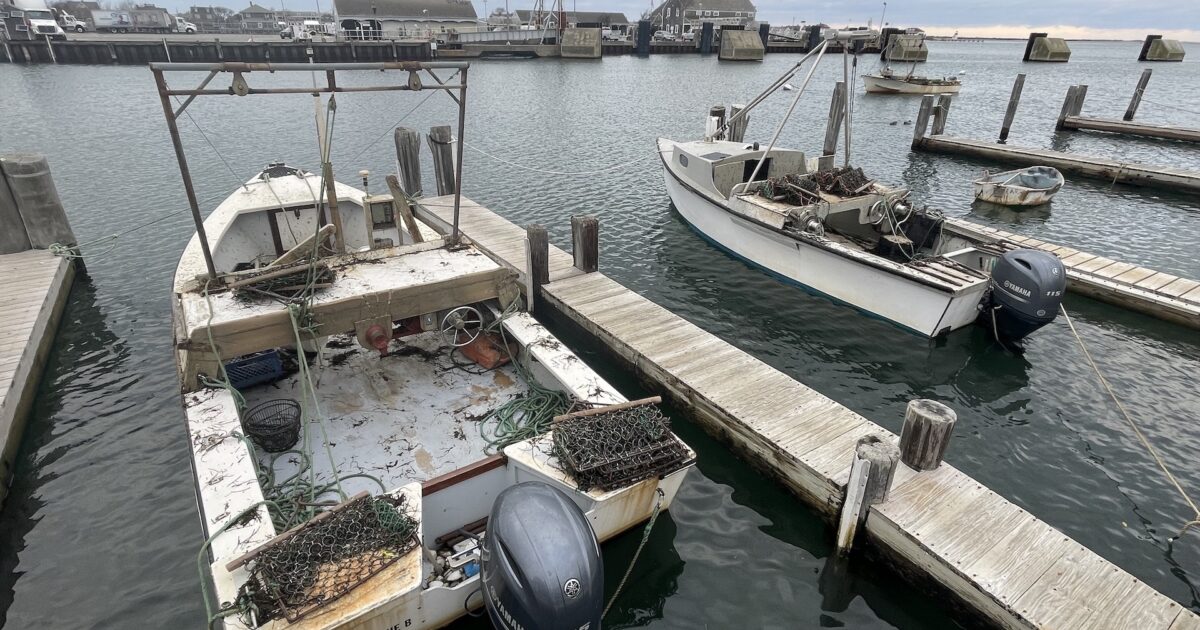 Nantucket Current Red Flag Day Scallop Fishery Closed Friday For…