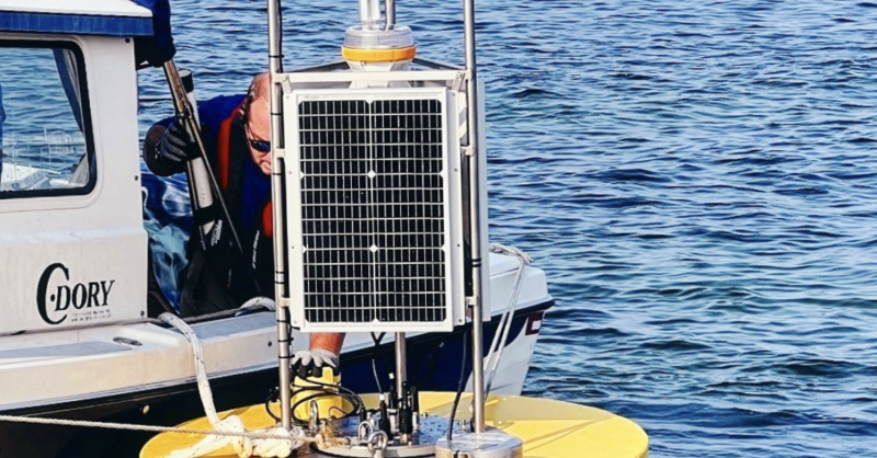 Screen-Shot-2024-08-20-at-11.