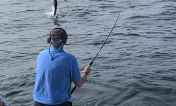 IMG 3405