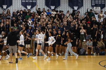 Volleyball Crowd BR 091823