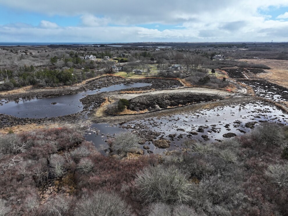 Nantucket Current Windswept Cranberry Bog Restoration Project Gets…
