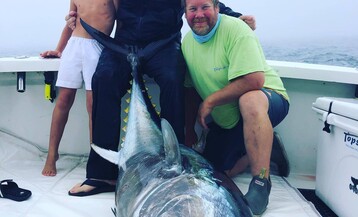 Bluefin