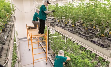 Bsp hr acknatural 4 y9h9 W