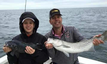 Black Sea Bass3