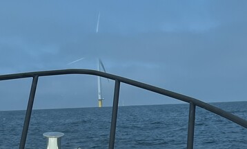 IMG 5684