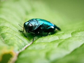 Shutterstock 2407309389