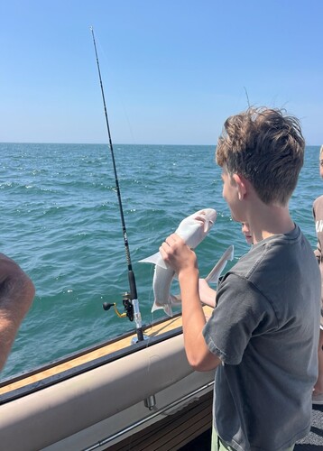 Dogfish July 2025