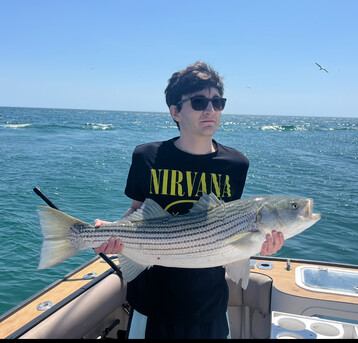 Striper