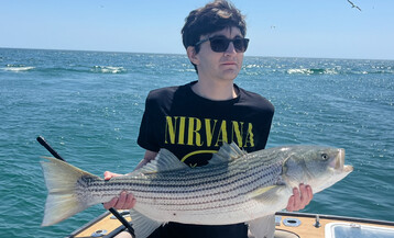 Striper