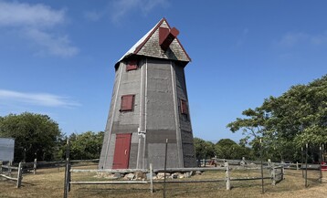 IMG 9858