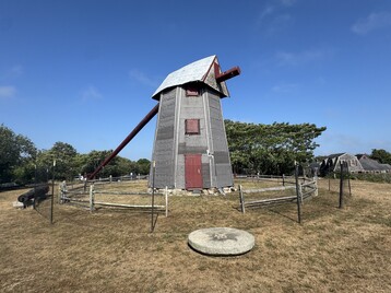 IMG 9863