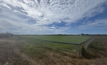 IMG 0790 Large