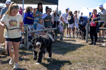 Nantucket Island Fair 5