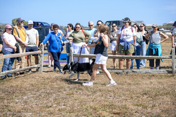 Nantucket Island Fair 8