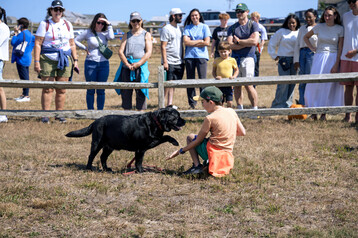 Nantucket Island Fair 10
