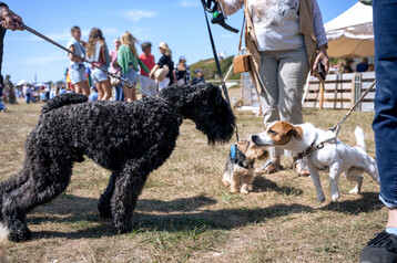 Nantucket Island Fair 11