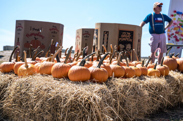 Nantucket Island Fair 15