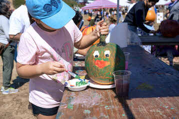 Nantucket Island Fair 19