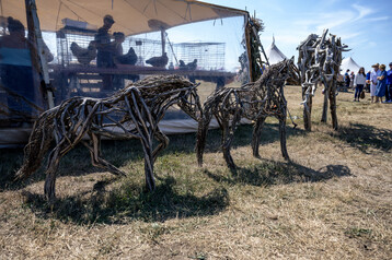 Nantucket Island Fair 33