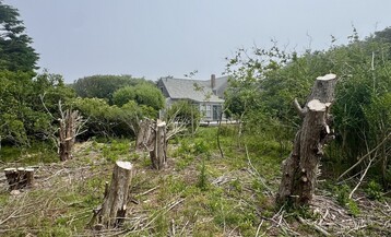 IMG 8635 e3a40f7172c3e2402cbe8afa5c931de5