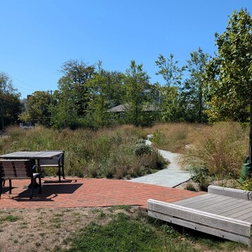 Easton St Rain Garden 1024x1024