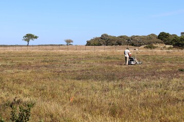 Eli Harvesting 2025