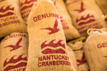 NCF Cranberry Festival 2019 35 of 53