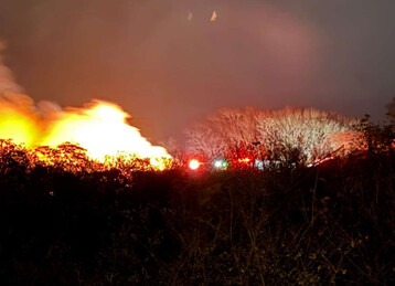 A9048 CE5 4715 42 E3 9838 B2 D21 F07 DB8 B