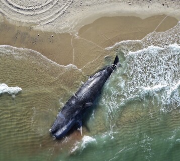 Dji fly 20251119 120224 0074 1763482850415 photo