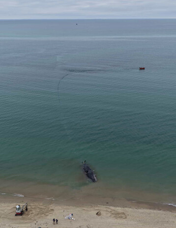 E0 D23871 BB2 E 436 D B228 1 F16 ACB690 D6