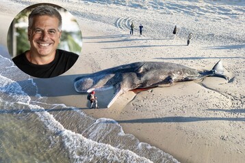 271 EFFDD EC62 4 F22 929 A 65 DAA31 E2046