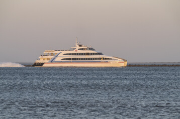 Hy line grey lady IV by kit noble