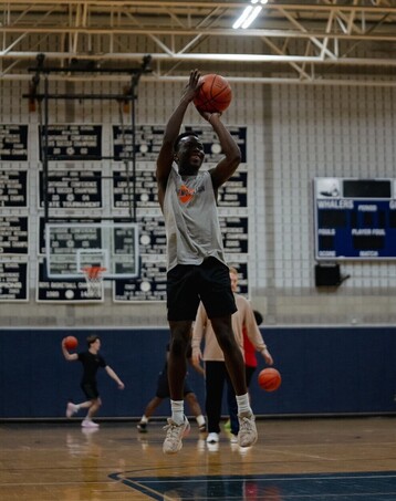 TRA01917 Large e3a40f7172c3e2402cbe8afa5c931de5