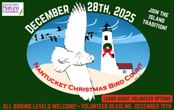 Nantucket Christmas Bird Count 71st