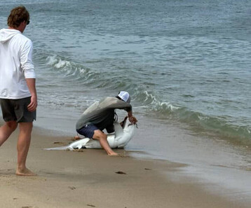 227 DED27 7 F9 F 4 DA6 8 CEB 6 CD1 B1 A797 A3 e3a40f7172c3e2402cbe8afa5c931de5