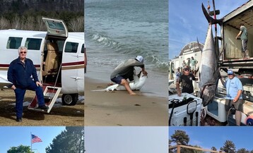 23 D3 E1 E8 F86 B 4 E65 A9 C2 E64156455573