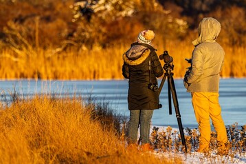 Two CBC volunteers scanning the waters edge counting birds by Mitchell Schuckman Large 2
