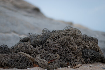 Shutterstock 1748116295