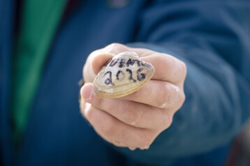 Hatchery02 02 2026 10