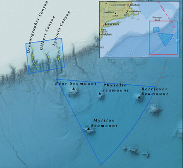 Northeast Canyons and Seamounts