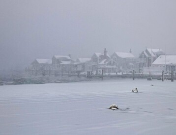 623098031 18070778855546941 5726895612818282161 n