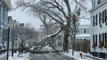 01 BE47 FA B7 F3 481 F 93 B1 7 FD7 CD7 AB83 E