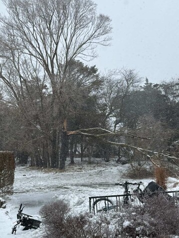 931 C76 A8 ED20 4427 8268 788576 B2037 A