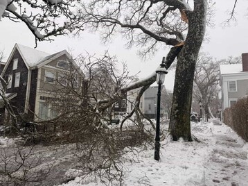 670094 D7 6 EF9 40 B1 97 CB 37 ECF875913 C