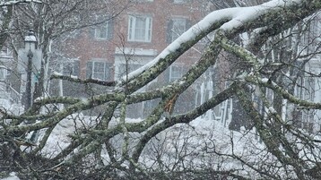 727429 A4 FE6 D 4466 9088 31 F9 C05 D31 A8