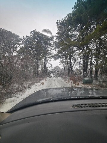 DC847370 3357 423 B A8 D8 7 B41154 C0560