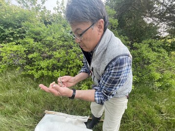 IMG 9390 e3a40f7172c3e2402cbe8afa5c931de5