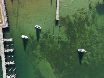 Dji fly 20260324 160218 0175 1774404615903 photo