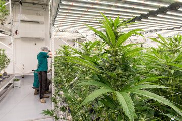 BSP HR ACK Natural 4 23 21 3854